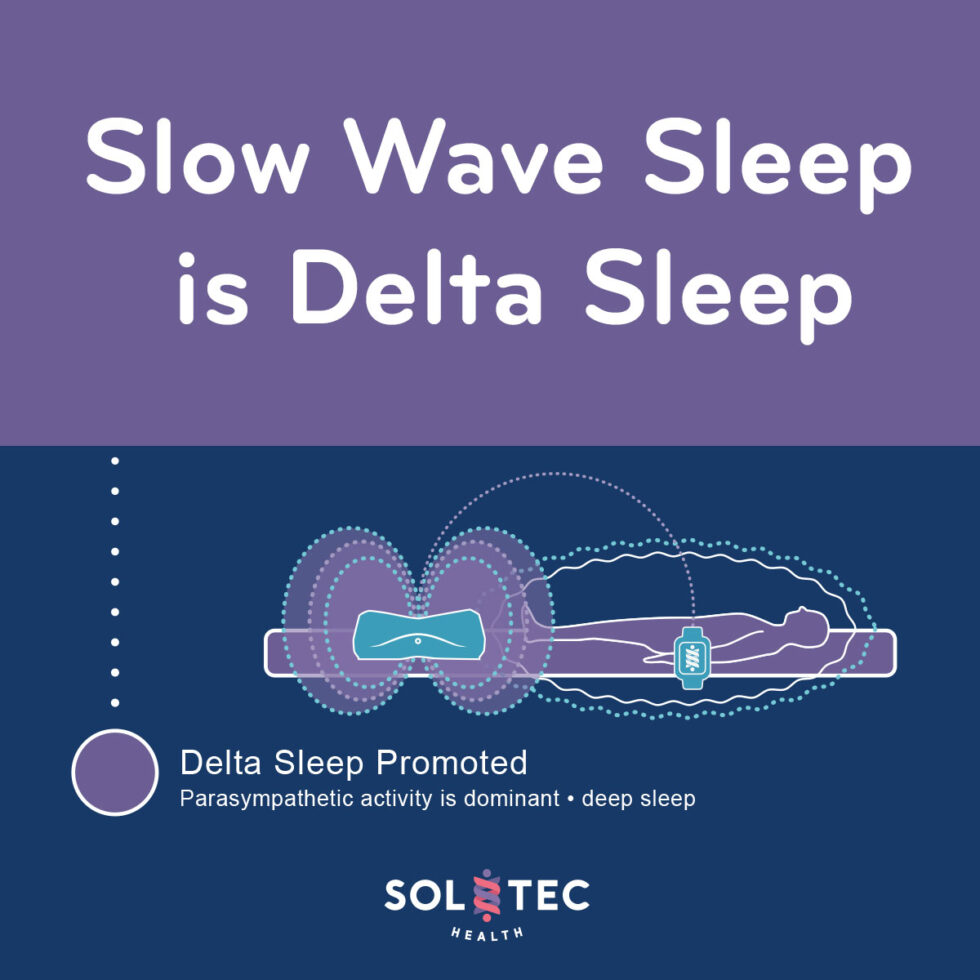 What Is Another Name For Slow Wave Sleep